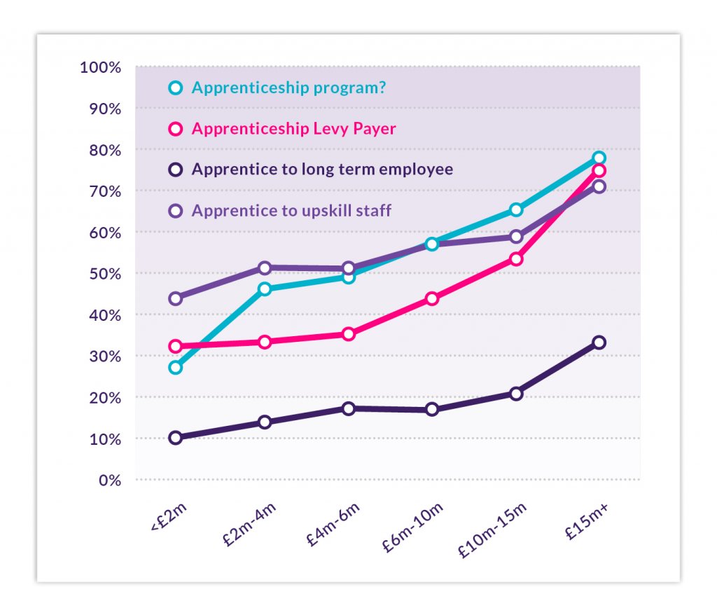 Graph depicting data trends in apprenticeship programs, levy payers, and employee upskilling across various financial ranges.
